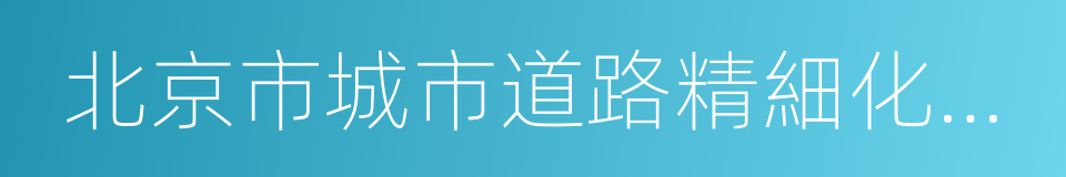 北京市城市道路精細化建設與管理指南的同義詞