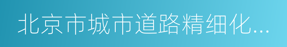 北京市城市道路精细化建设与管理指南的同义词