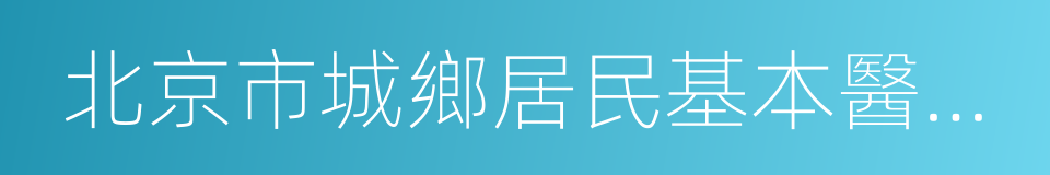 北京市城鄉居民基本醫療保險辦法的同義詞