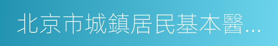 北京市城鎮居民基本醫療保險辦法實施細則的同義詞