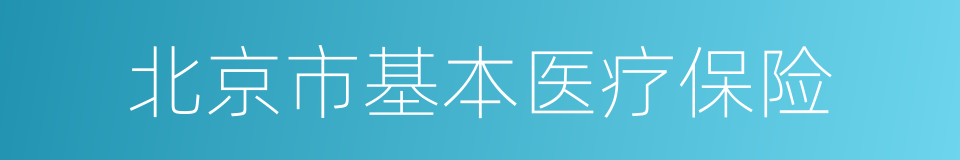 北京市基本医疗保险的同义词