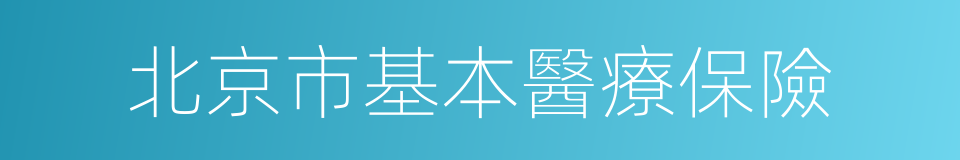 北京市基本醫療保險的意思