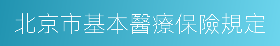 北京市基本醫療保險規定的同義詞