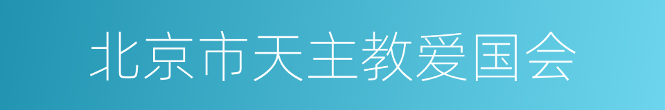 北京市天主教爱国会的同义词