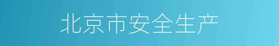 北京市安全生产的同义词