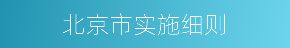 北京市实施细则的同义词