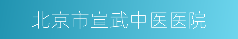 北京市宣武中医医院的同义词