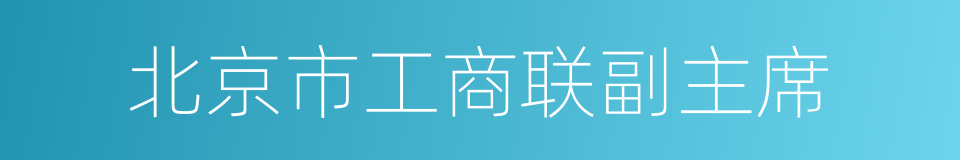 北京市工商联副主席的同义词
