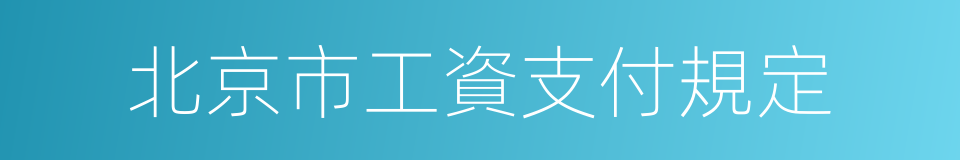 北京市工資支付規定的同義詞