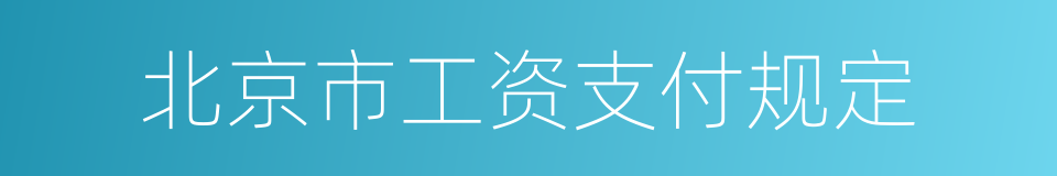 北京市工资支付规定的同义词