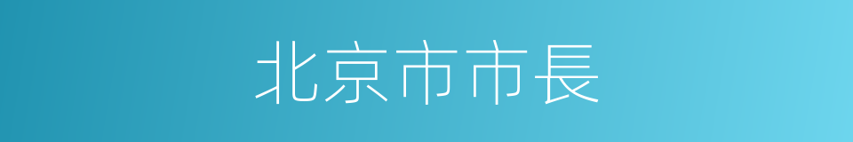 北京市市長的同義詞