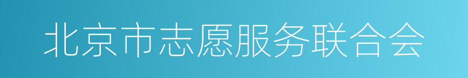 北京市志愿服务联合会的同义词