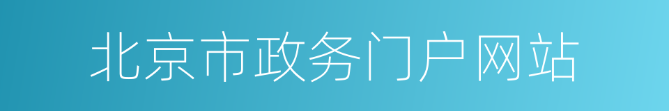 北京市政务门户网站的同义词