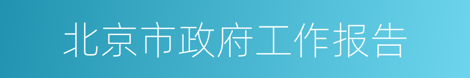 北京市政府工作报告的同义词