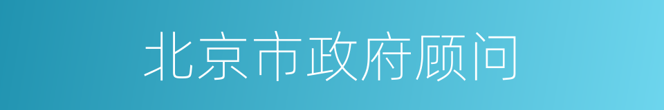 北京市政府顾问的同义词