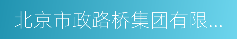 北京市政路桥集团有限公司的同义词