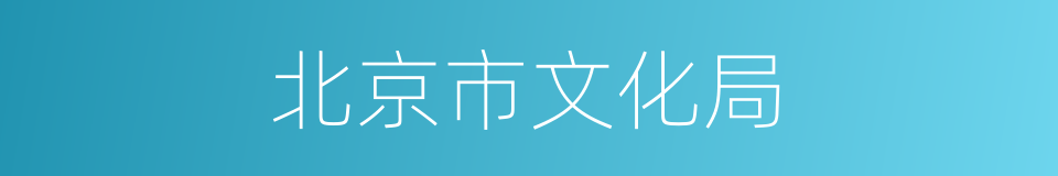 北京市文化局的同义词