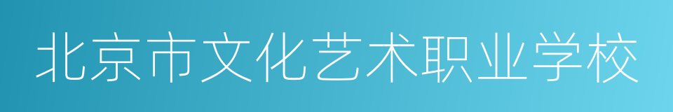 北京市文化艺术职业学校的同义词