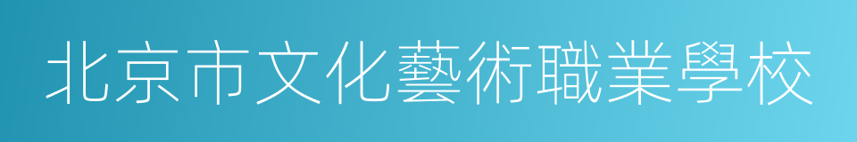 北京市文化藝術職業學校的同義詞
