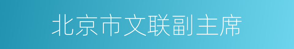 北京市文联副主席的同义词