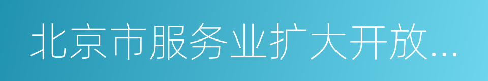 北京市服务业扩大开放综合试点实施方案的同义词