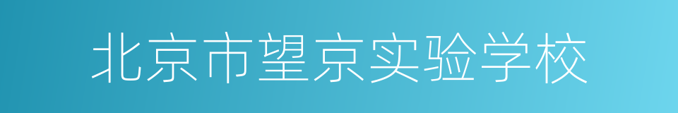北京市望京实验学校的同义词