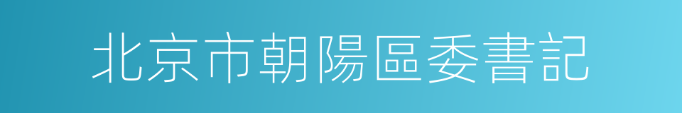 北京市朝陽區委書記的同義詞