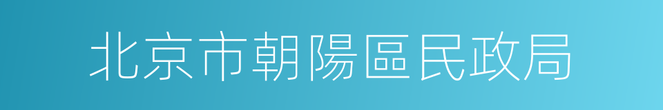 北京市朝陽區民政局的同義詞