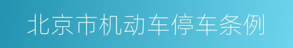 北京市机动车停车条例的同义词
