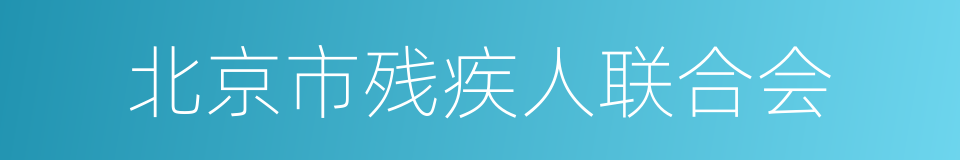 北京市残疾人联合会的同义词