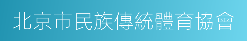 北京市民族傳統體育協會的同義詞