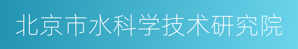 北京市水科学技术研究院的同义词