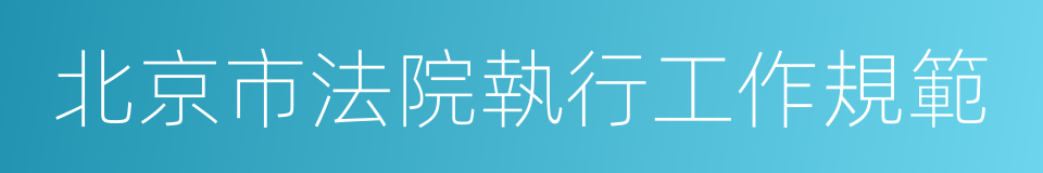 北京市法院執行工作規範的同義詞