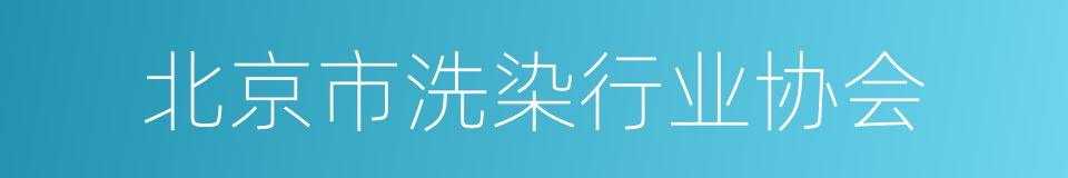 北京市洗染行业协会的同义词