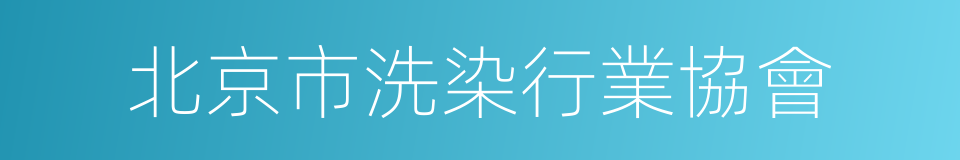 北京市洗染行業協會的同義詞