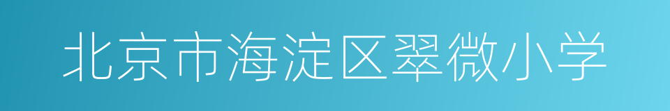 北京市海淀区翠微小学的同义词