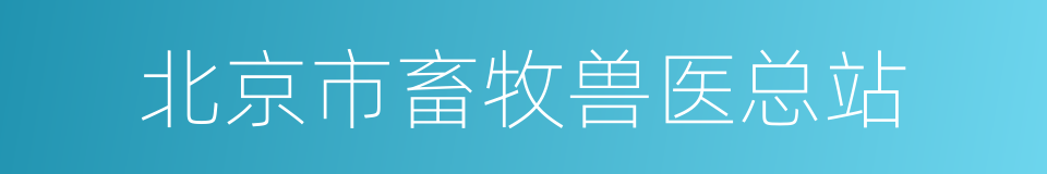 北京市畜牧兽医总站的同义词