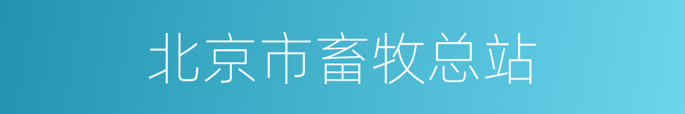 北京市畜牧总站的同义词