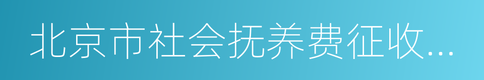 北京市社会抚养费征收管理办法的同义词