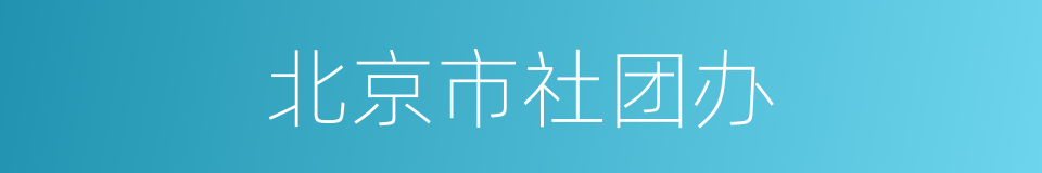 北京市社团办的同义词