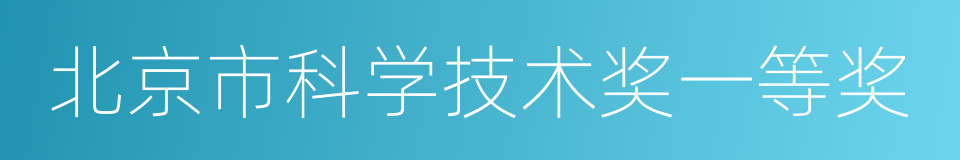 北京市科学技术奖一等奖的同义词