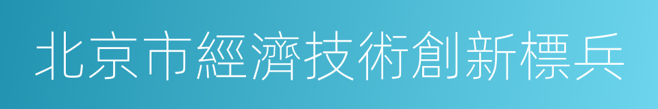 北京市經濟技術創新標兵的同義詞