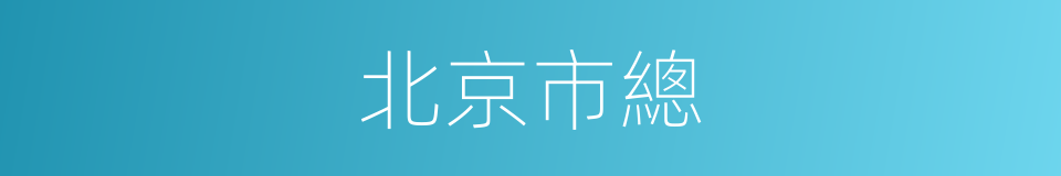 北京市總的同義詞