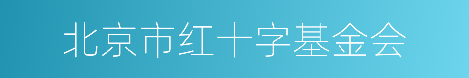 北京市红十字基金会的同义词