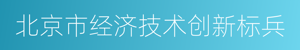 北京市经济技术创新标兵的同义词