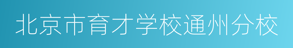 北京市育才学校通州分校的同义词