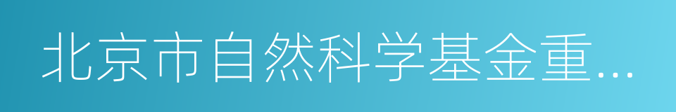 北京市自然科学基金重点项目的同义词