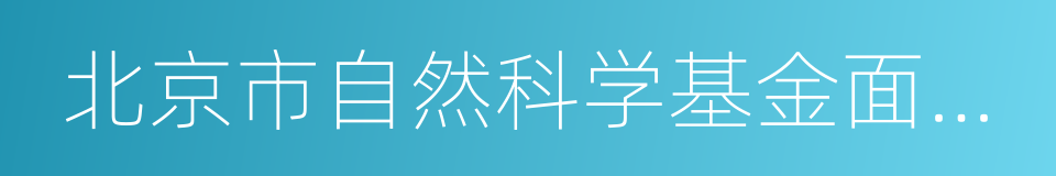 北京市自然科学基金面上项目的同义词