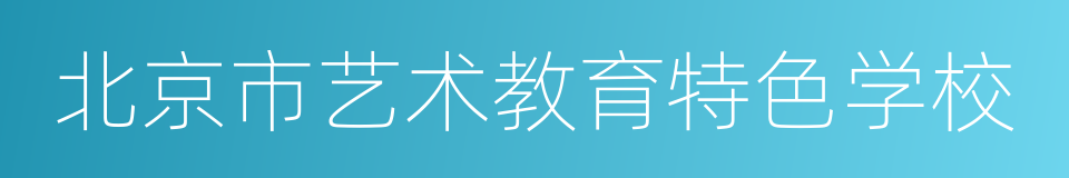 北京市艺术教育特色学校的同义词