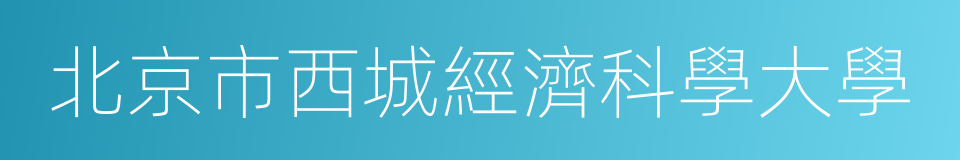 北京市西城經濟科學大學的同義詞